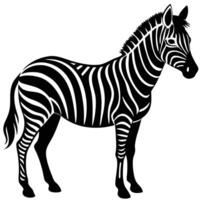 zebra silhouette on white background vector