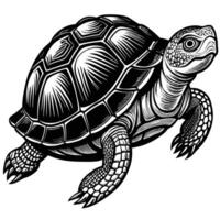 a turtle is shown in a black and white drawing vector