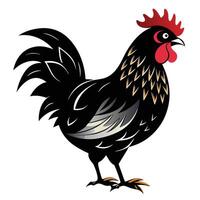 a black rooster with red feathers standing on a white background vector