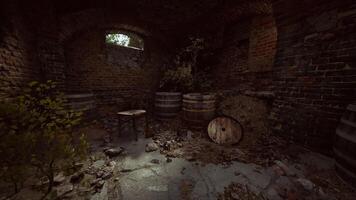 Abandoned cellar with barrels and natural overgrowth in a rustic setting video