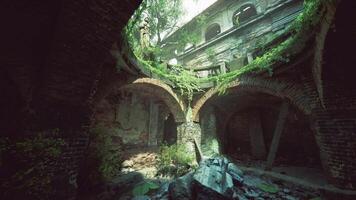 Exploring an abandoned structure overtaken by nature in a forgotten location video