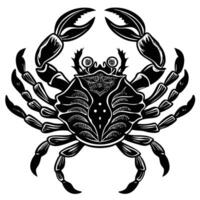 a black and white crab with large claws vector