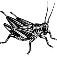 a black and white drawing of a grasshopper vector