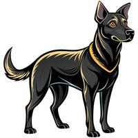 a black dog with a golden collar standing on a white background vector