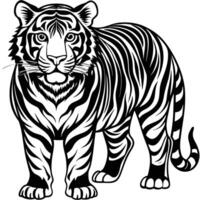 a tiger is standing in a black and white drawing vector
