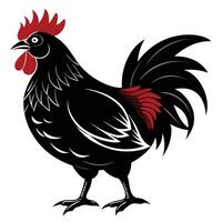 a black rooster with red feathers on a white background vector