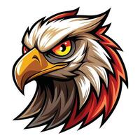 an eagle head with red and white feathers vector