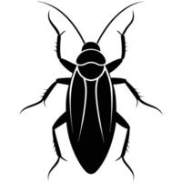 cockroach silhouette on white background vector