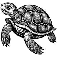a turtle is shown in a woodcut style vector