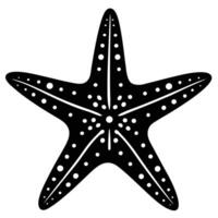 a black and white starfish on a white background vector
