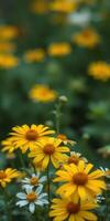 Bright yellow flowers bloom in a lush garden during spring, adding color to the scenery photo