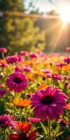 Vibrant garden filled with blooming flowers under warm sunlight in a serene afternoon setting photo