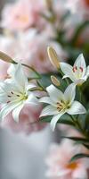 Elegant white lilies bloom alongside soft pink blossoms in a serene floral arrangement designed for decoration photo
