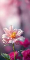 Beautiful blooming pink flower captures the essence of spring in a serene garden photo