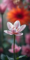 Beautiful pink flower stands out among vibrant blooms in a garden during early spring photo