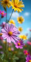 Vibrant wildflowers bloom under a clear blue sky in a sunny meadow during springtime photo