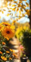 Beautiful yellow flowers bloom in a vibrant garden during a sunny autumn afternoon with mixed foliage photo