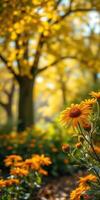 Vibrant yellow flowers bloom under golden autumn sunlight in a serene park setting photo