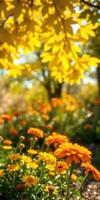 Vibrant yellow and orange flowers blooming in a sunny garden during spring season photo