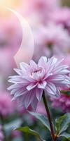 Beautiful pink flower blooming among soft pink blossoms in a serene garden during springtime photo