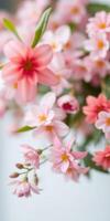 Colorful blooming flowers in a close-up view showcasing delicate petals and vibrant hues during springtime photo