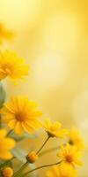 Bright yellow flowers blooming in a sunny garden full of natural light and beauty during the spring season photo