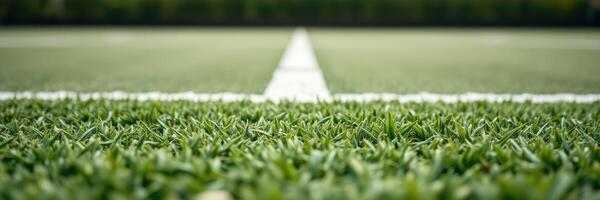 Close-up view of synthetic grass field with a white marking line during daylight hours photo