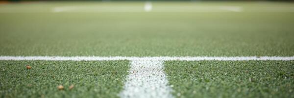 Focus on the white line marking on a well-maintained turf field in the afternoon sun photo