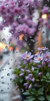 Spring rain creates a picturesque view of purple flowers and blurred city lights in the background photo