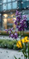 Purple flowers in rain with droplets creating a beautiful blurred background capturing a spring garden scene photo