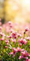 Vibrant pink flowers blossom in the warm sunlight of early spring in a serene natural setting photo
