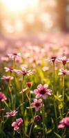Vibrant wildflowers bloom under warm sunlight in a serene meadow during springtime photo