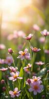 Beautiful pink flowers blooming in a sunlit meadow during springtime photo