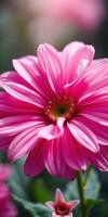 Bright pink flower with delicate petals flourishing in a serene garden setting during springtime season photo