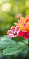Colorful flowers in a vibrant garden during springtime showcase nature's beauty and delicate features photo