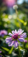 Beautiful blooming flower with delicate purple petals captured in a lush garden during sunny daylight hours photo
