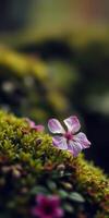 Delicate pink flower blooming among lush green moss in a serene natural setting photo