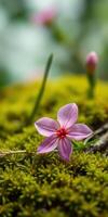 Beautiful pink wildflower blooming on lush green moss in a serene natural environment photo