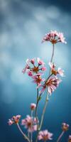 Delicate pink flowers bloom against a soft blue background in a tranquil setting photo