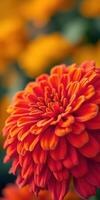 Bright red flower blooms vibrantly in a lush garden filled with colors during the warm afternoon sunlight photo