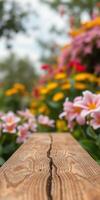 Colorful garden flowers bloom in spring, creating a vibrant landscape with a wooden path under a cloudy sky photo
