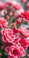 Bright pink flowers with heart decorations create a cheerful and romantic atmosphere in a garden setting photo