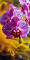 Colorful orchid blossoms showcase intricate details against a vibrant yellow background photo