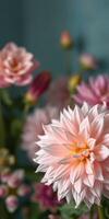 Beautiful pink and white blossoms arranged creatively against a soft blue backdrop in a serene floral display photo