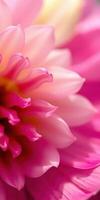 Vibrant close-up of a pink flower showcasing intricate petal details in soft focus during daylight photo
