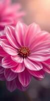 Bright pink flower blooms in a garden showcasing delicate petals and vibrant colors during the afternoon light photo