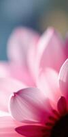 Soft pink petals of a flower bloom in natural light, showcasing delicate textures and vibrant colors in spring season photo