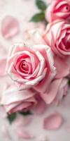 Beautiful pink roses arranged elegantly with delicate petals on a soft background photo