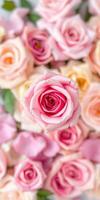Beautiful pink roses in a vibrant bouquet with soft background colors photo