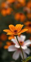 Bright orange flower stands out in a vibrant garden filled with colorful blossoms during springtime photo